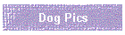 Dog Pics